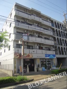 第五梅野