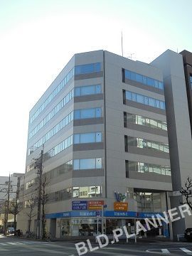シノダ