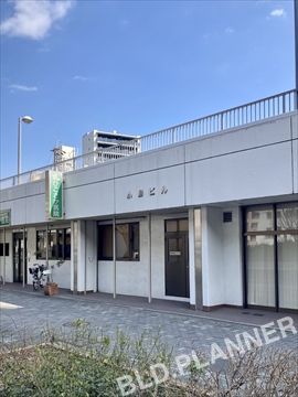 小鳥