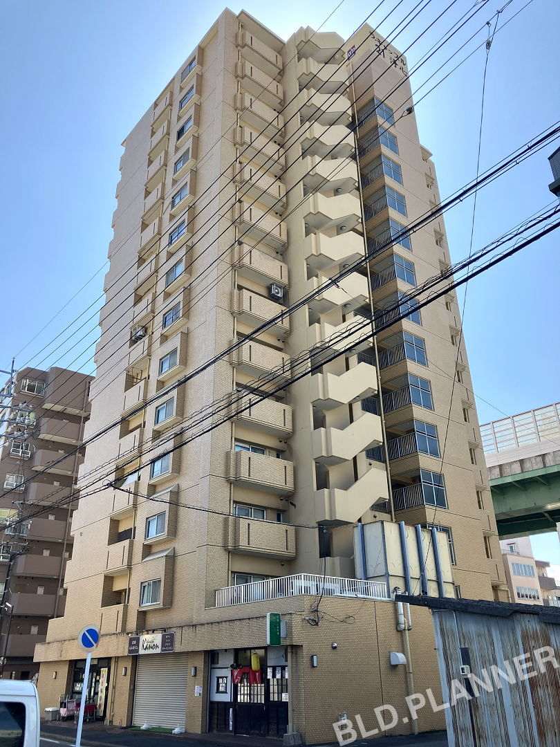 外観図