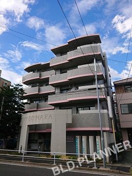 SMY88原