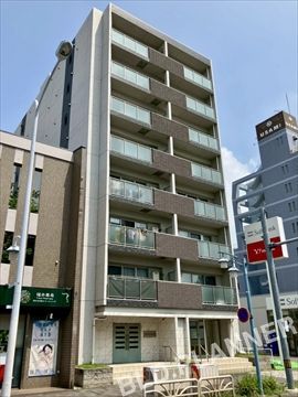Shibata PalaceⅧ