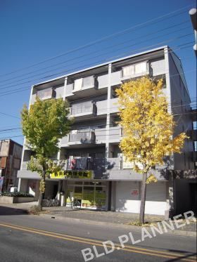 ツインコート２４