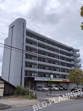 ラピスラズリ梅森坂